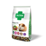 Guinea pig